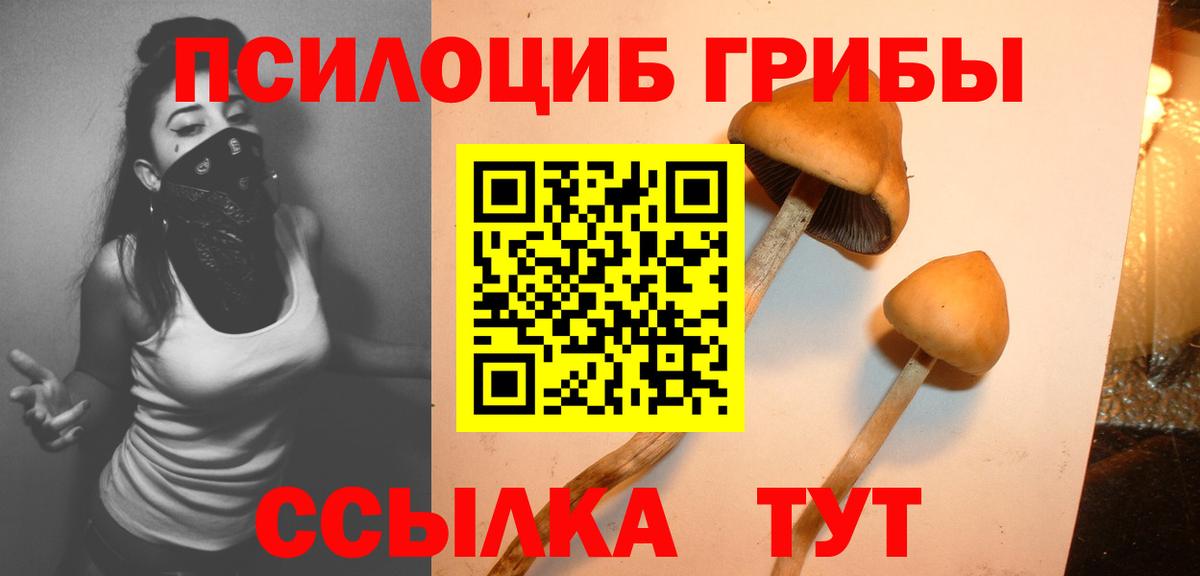 Галлюциногенные грибы GOLDEN TEACHER  Вход с VPN  Тайшет 